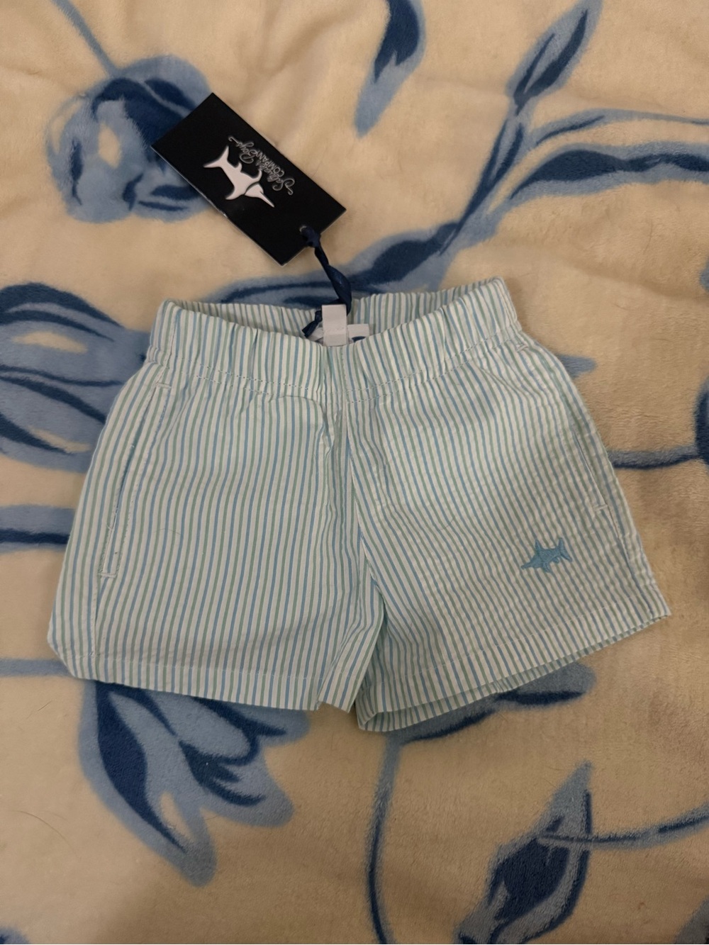 Baby Light Blue and Green Stripe Swim Trunks